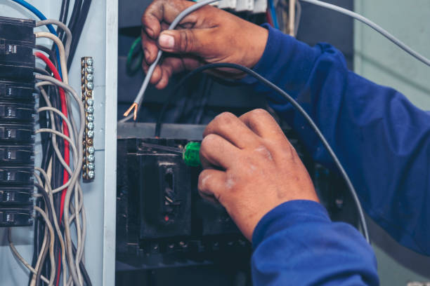 Best Ceiling Fan Installation Electrician  in Mosheim, TN