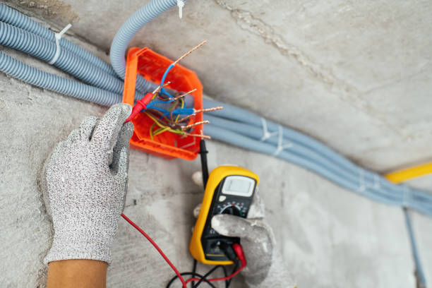 Best Home Electrical Repair  in Mosheim, TN